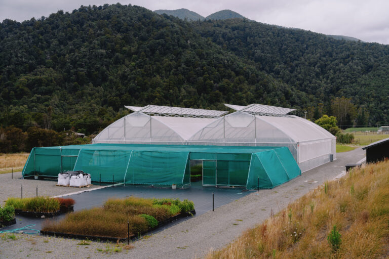 Titiraukawa Nursery